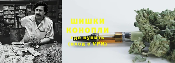шишки Абинск