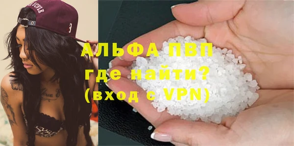 сатива Абаза