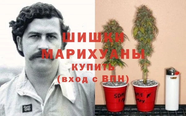 шишки Абинск