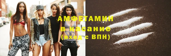 сатива Абаза