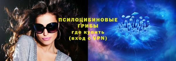 шишки Абинск