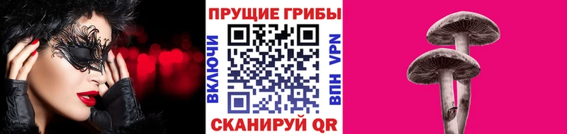 Галлюциногенные грибы Magic Shrooms  закладка  Сергач 